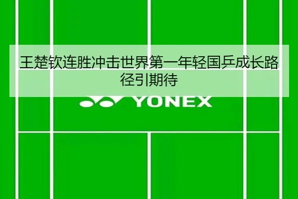 王楚钦连胜冲击世界第一年轻国乒成长路径引期待